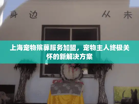 上海宠物殡葬服务加盟，宠物主人终极关怀的新解决方案