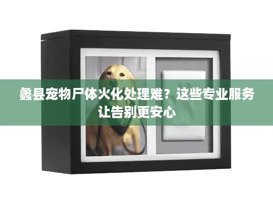 蠡县宠物尸体火化处理难？这些专业服务让告别更安心