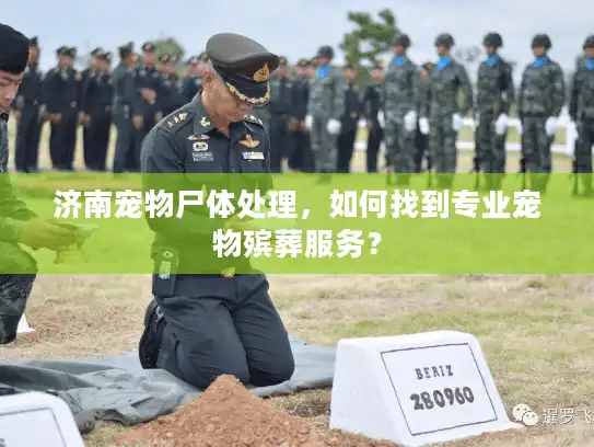 济南宠物尸体处理，如何找到专业宠物殡葬服务？