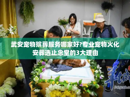 武安宠物殡葬服务哪家好?专业宠物火化安葬选止念堂的3大理由
