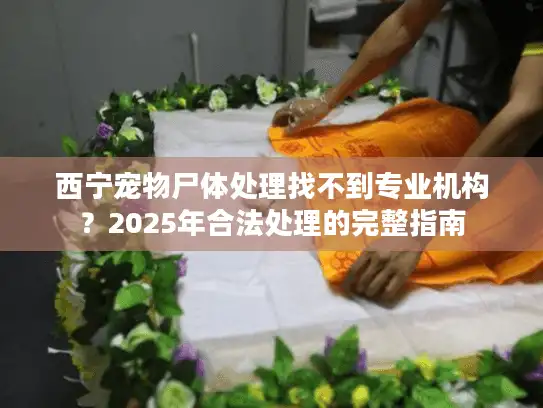 西宁宠物尸体处理找不到专业机构？2025年合法处理的完整指南