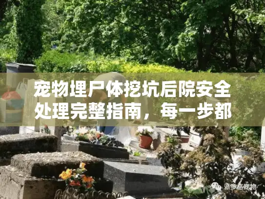 宠物埋尸体挖坑后院安全处理完整指南，每一步都关键