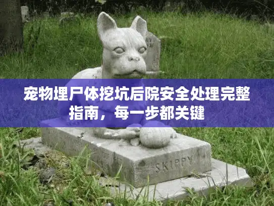 宠物埋尸体挖坑后院安全处理完整指南，每一步都关键