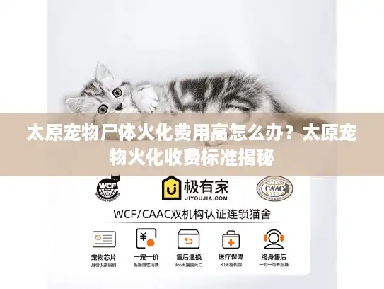 太原宠物尸体火化费用高怎么办？太原宠物火化收费标准揭秘