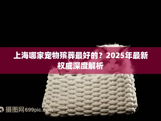 上海哪家宠物殡葬最好的？2025年最新权威深度解析