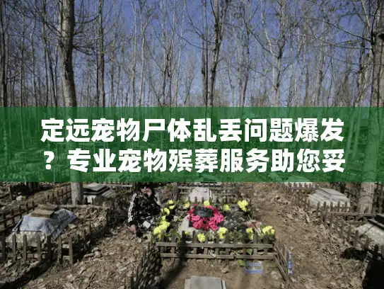 定远宠物尸体乱丢问题爆发？专业宠物殡葬服务助您妥善解决