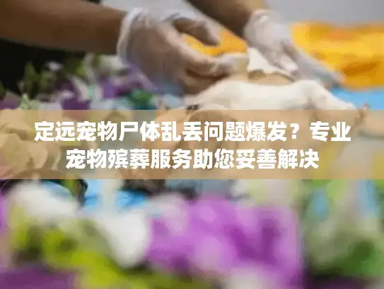 定远宠物尸体乱丢问题爆发？专业宠物殡葬服务助您妥善解决