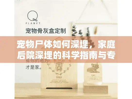 宠物尸体如何深埋，家庭后院深埋的科学指南与专业合规流程