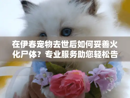 在伊春宠物去世后如何妥善火化尸体？专业服务助您轻松告别悲伤