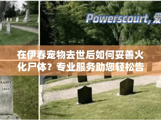 在伊春宠物去世后如何妥善火化尸体？专业服务助您轻松告别悲伤