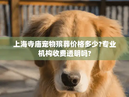 上海寺庙宠物殡葬价格多少?专业机构收费透明吗?