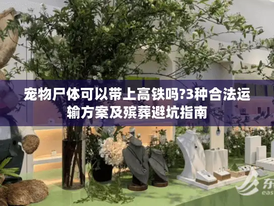 宠物尸体可以带上高铁吗?3种合法运输方案及殡葬避坑指南