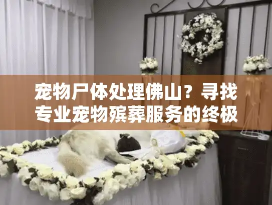 宠物尸体处理佛山？寻找专业宠物殡葬服务的终极指南
