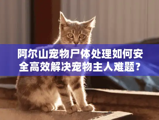 阿尔山宠物尸体处理如何安全高效解决宠物主人难题？