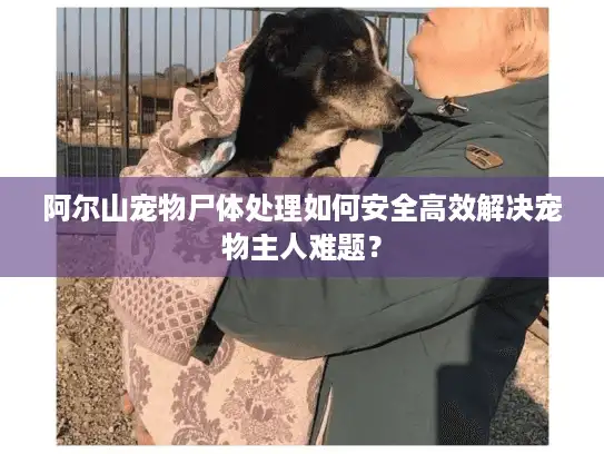 阿尔山宠物尸体处理如何安全高效解决宠物主人难题？