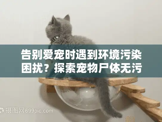 告别爱宠时遇到环境污染困扰？探索宠物尸体无污染处理的科学方案