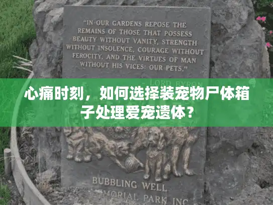 心痛时刻，如何选择装宠物尸体箱子处理爱宠遗体？
