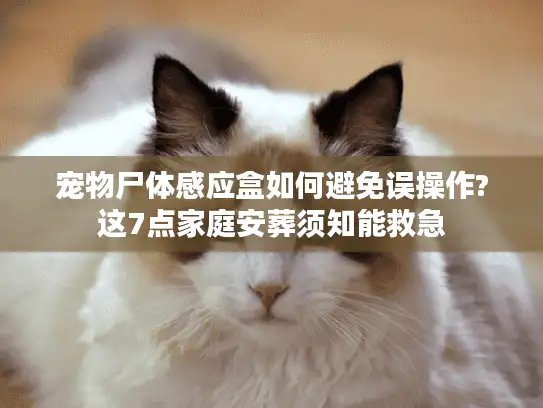 宠物尸体感应盒如何避免误操作?这7点家庭安葬须知能救急
