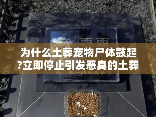 为什么土葬宠物尸体鼓起?立即停止引发恶臭的土葬错误操作