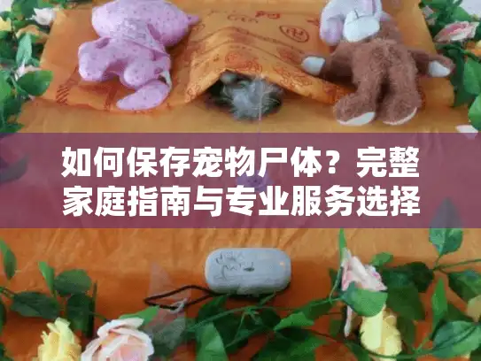 如何保存宠物尸体？完整家庭指南与专业服务选择