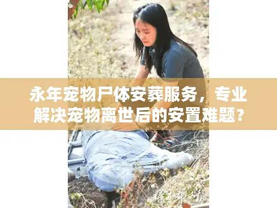 永年宠物尸体安葬服务，专业解决宠物离世后的安置难题？