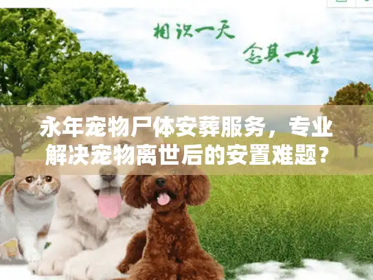 永年宠物尸体安葬服务，专业解决宠物离世后的安置难题？