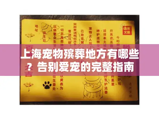 上海宠物殡葬地方有哪些？告别爱宠的完整指南