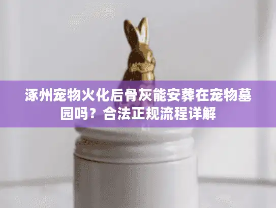 涿州宠物火化后骨灰能安葬在宠物墓园吗？合法正规流程详解