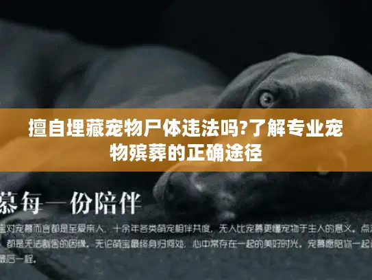 擅自埋藏宠物尸体违法吗?了解专业宠物殡葬的正确途径