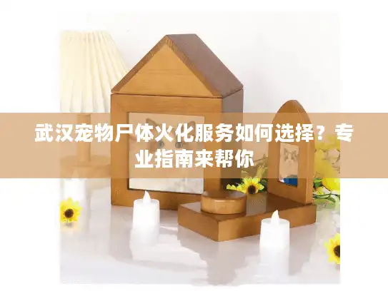 武汉宠物尸体火化服务如何选择？专业指南来帮你
