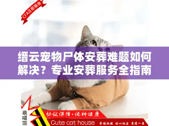 缙云宠物尸体安葬难题如何解决？专业安葬服务全指南