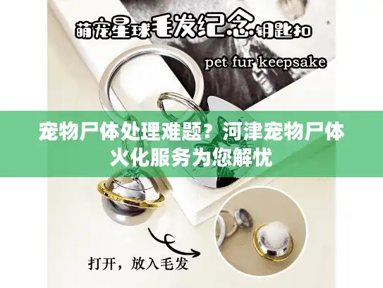 宠物尸体处理难题？河津宠物尸体火化服务为您解忧