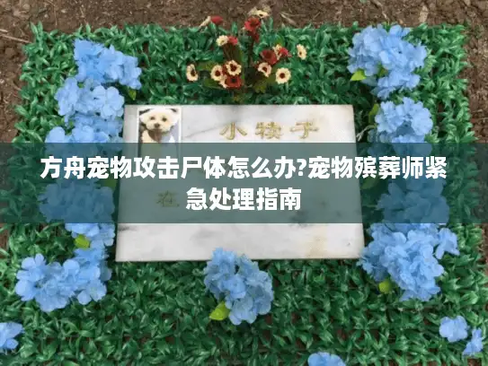 方舟宠物攻击尸体怎么办?宠物殡葬师紧急处理指南