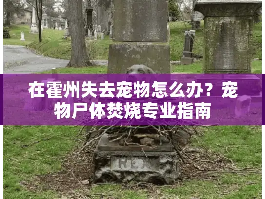 在霍州失去宠物怎么办？宠物尸体焚烧专业指南