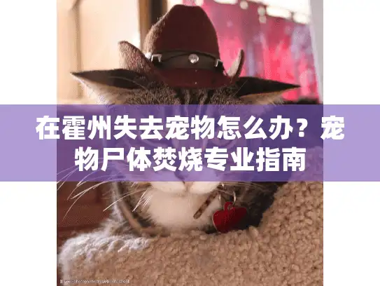 在霍州失去宠物怎么办？宠物尸体焚烧专业指南