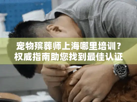 宠物殡葬师上海哪里培训？权威指南助您找到最佳认证课程