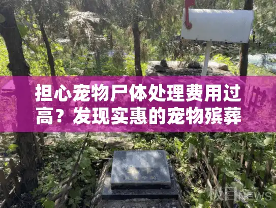 担心宠物尸体处理费用过高？发现实惠的宠物殡葬服务选项