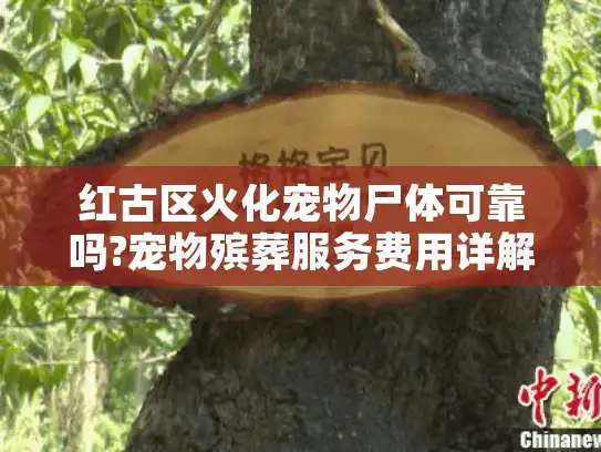 红古区火化宠物尸体可靠吗?宠物殡葬服务费用详解