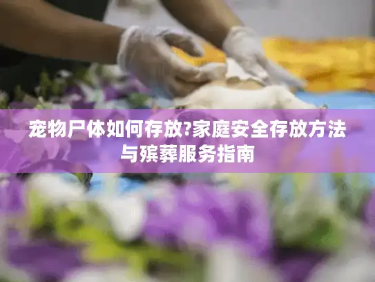 宠物尸体如何存放?家庭安全存放方法与殡葬服务指南