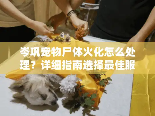 岑巩宠物尸体火化怎么处理？详细指南选择最佳服务