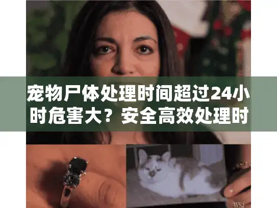 宠物尸体处理时间超过24小时危害大？安全高效处理时效指南