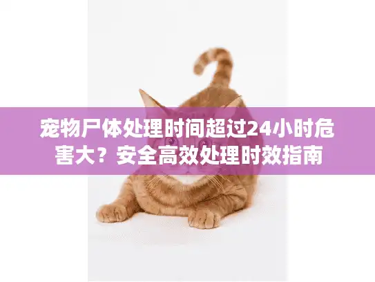 宠物尸体处理时间超过24小时危害大？安全高效处理时效指南