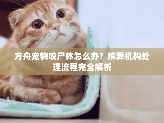 方舟宠物咬尸体怎么办？殡葬机构处理流程完全解析