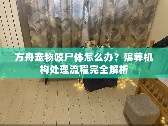 方舟宠物咬尸体怎么办？殡葬机构处理流程完全解析