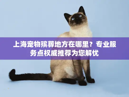 上海宠物殡葬地方在哪里？专业服务点权威推荐为您解忧