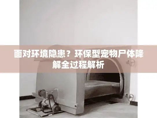 面对环境隐患？环保型宠物尸体降解全过程解析