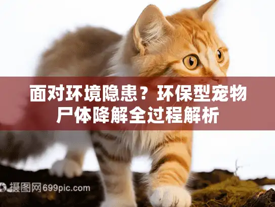面对环境隐患？环保型宠物尸体降解全过程解析