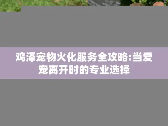 鸡泽宠物火化服务全攻略:当爱宠离开时的专业选择