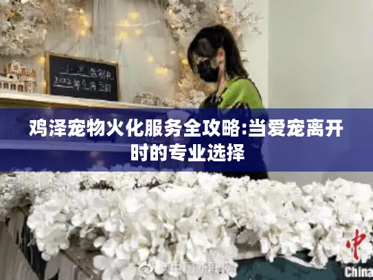鸡泽宠物火化服务全攻略:当爱宠离开时的专业选择