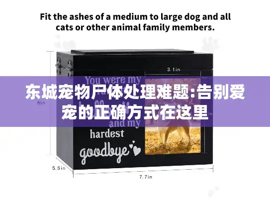 东城宠物尸体处理难题:告别爱宠的正确方式在这里